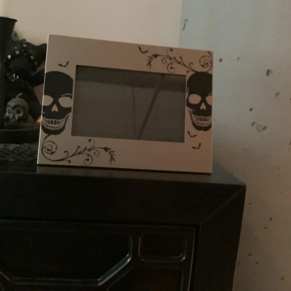 Silver and black skulls and bats picture frame (Tabletop)